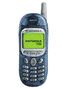 Best available price of Motorola T190 in Nauru