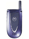 Best available price of Motorola V66i in Nauru